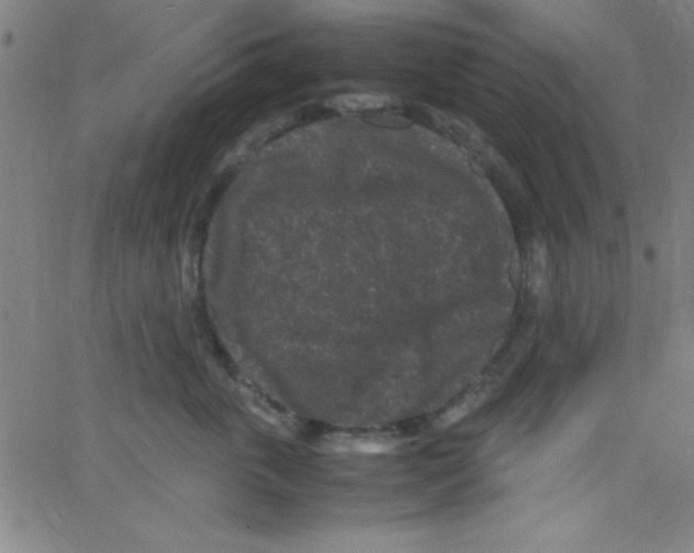 X0000067400763200604281907