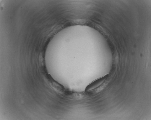 X0000067400764200604281907