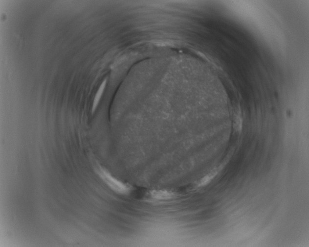 X0000067400766200604281907