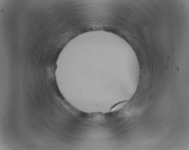 X0000067400768200604281907