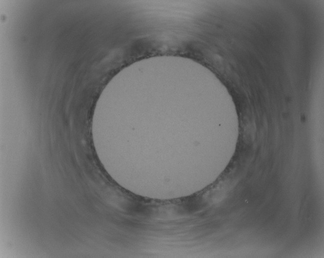 X0000067400769200604281907