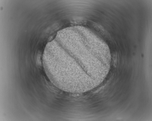 X0000067400770200604281907