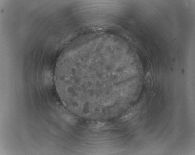 X0000067400772200604281907