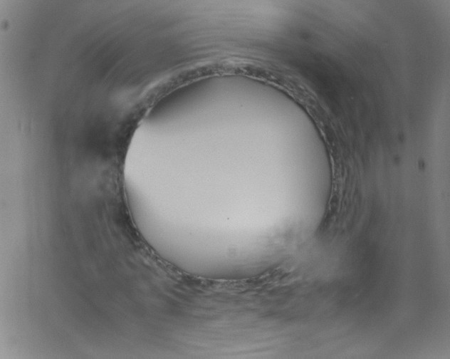 X0000067400773200604281907