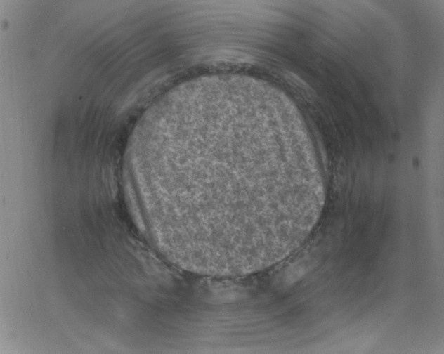 X0000067400774200604281907