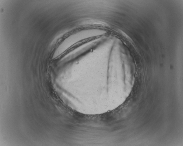 X0000067400775200604281907