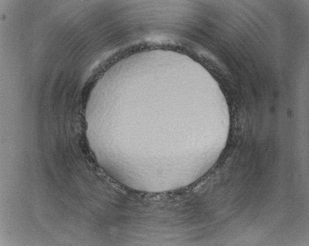 X0000067400776200604281907