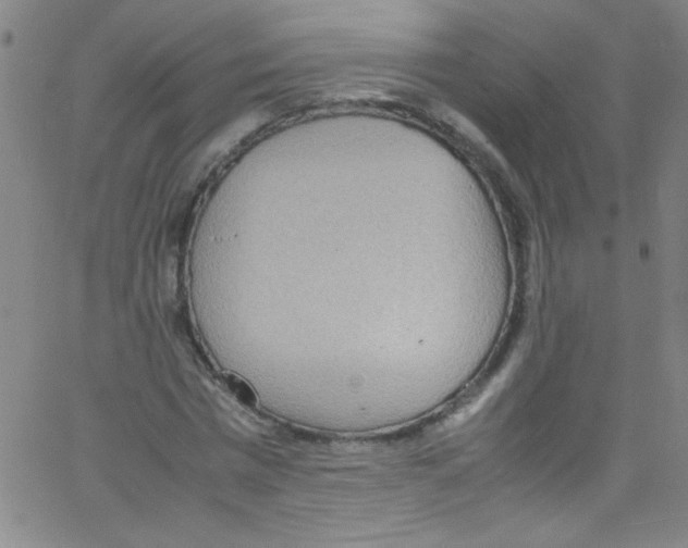 X0000067400777200604281907