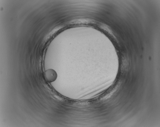 X0000067400778200604281907