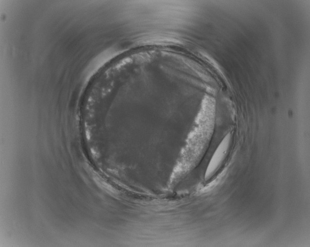 X0000067400779200604281907