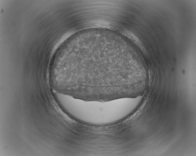 X0000067400780200604281907