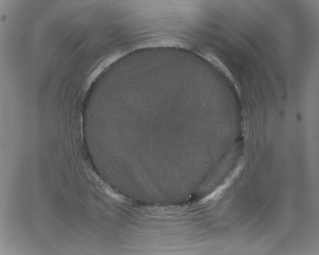 X0000067400781200604281906