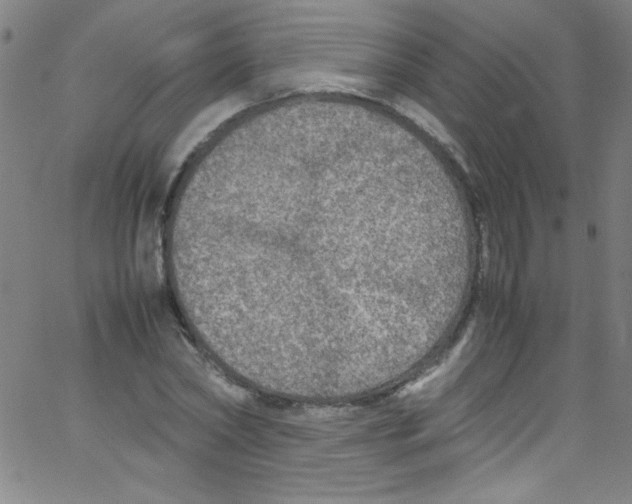 X0000067400782200604281906