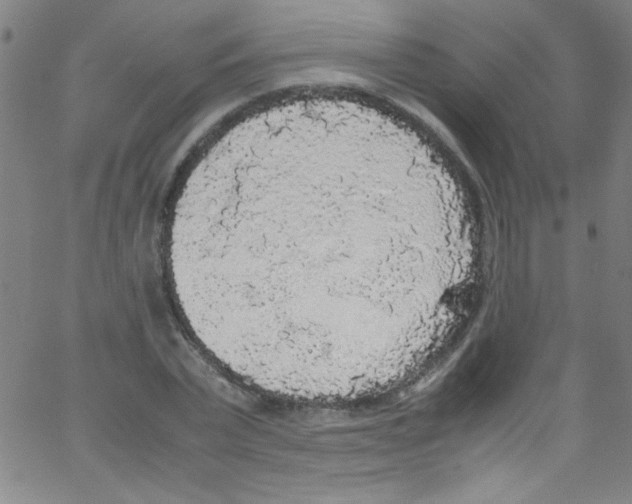 X0000067400783200604281906