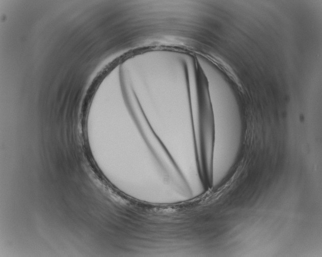 X0000067400784200604281906