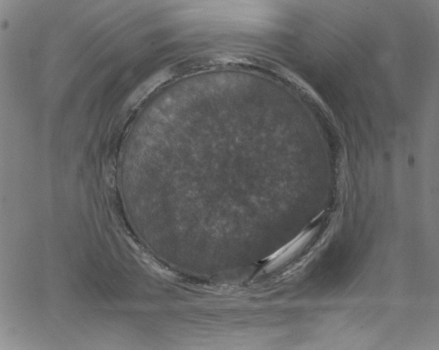 X0000067400785200604281906