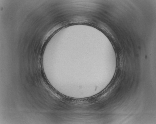 X0000067400786200604281906