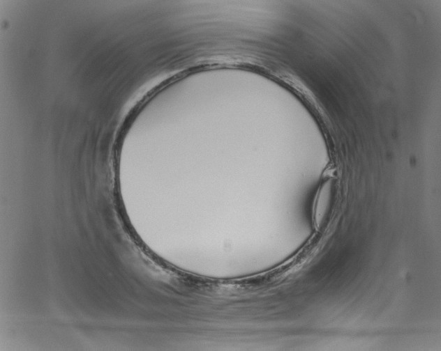 X0000067400787200604281906