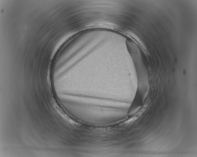 X0000067400788200604281906