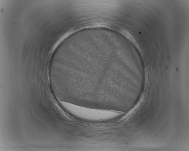 X0000067400789200604281906