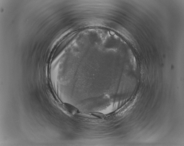 X0000067400790200604281906