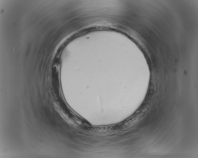 X0000067400791200604281906