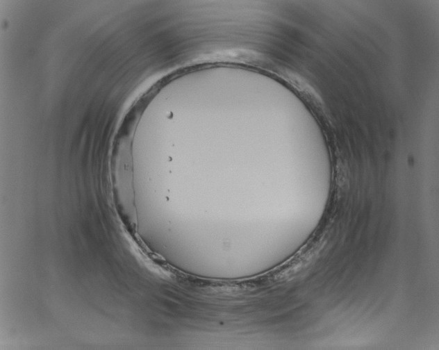 X0000067400792200604281906