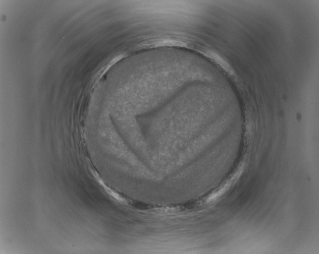 X0000067400793200604281906