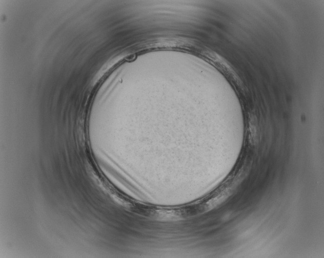 X0000067400794200604281906