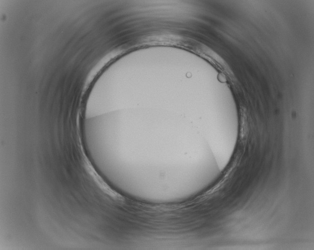 X0000067400796200604281906