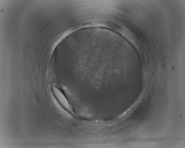 X0000067400797200604281906