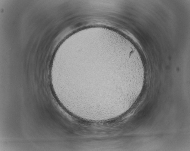 X0000067400799200604281906