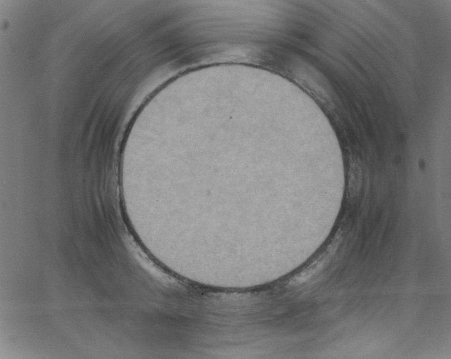 X0000067400800200604281906