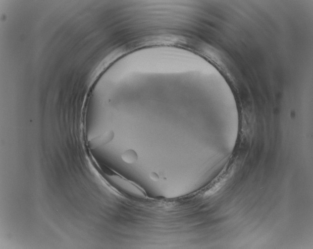 X0000067400802200604281906