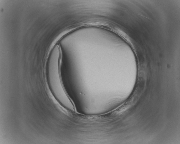 X0000067400803200604281906