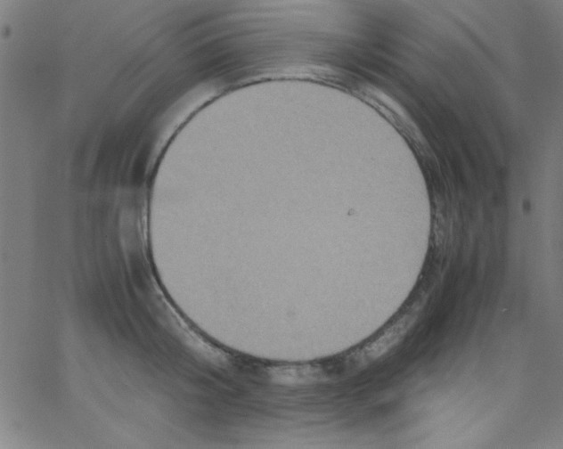 X0000067400804200604281906