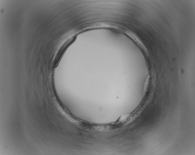 X0000067400805200604281906