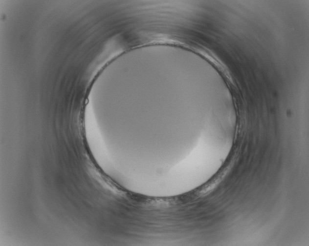 X0000067400806200604281906