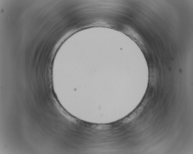 X0000067400808200604281906