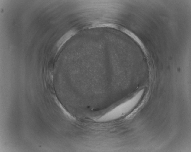 X0000067400809200604281906