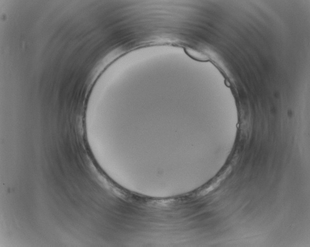 X0000067400810200604281906