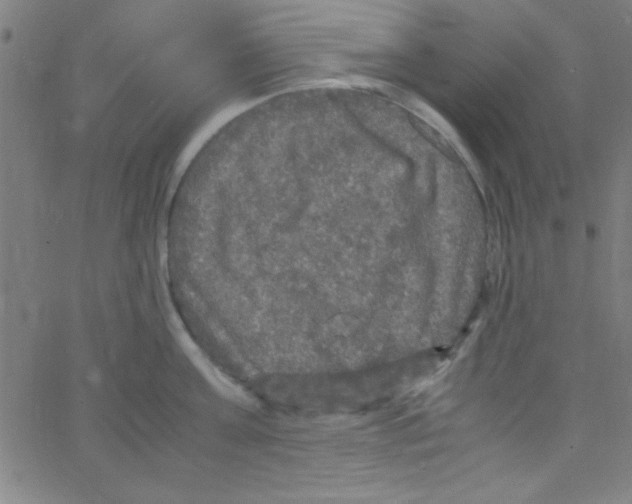 X0000067400811200604281906