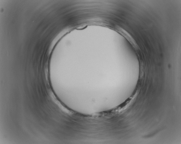 X0000067400812200604281906