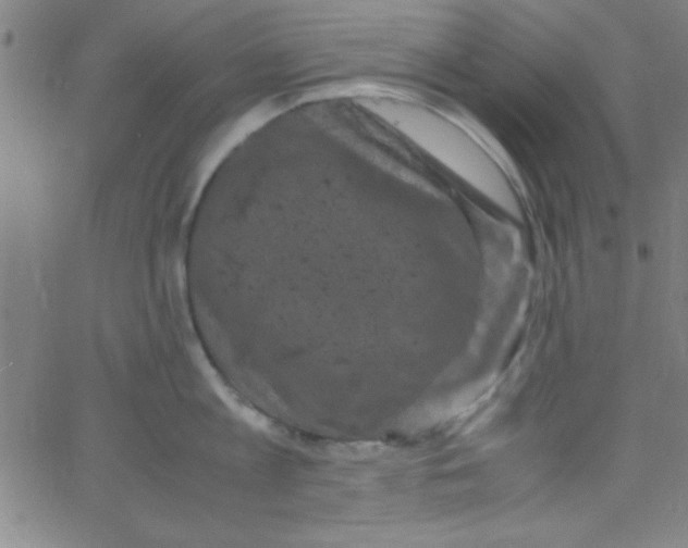 X0000067400813200604281906