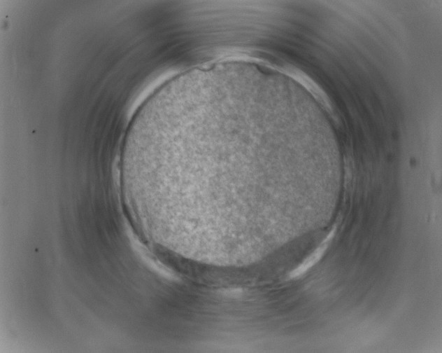 X0000067400814200604281906