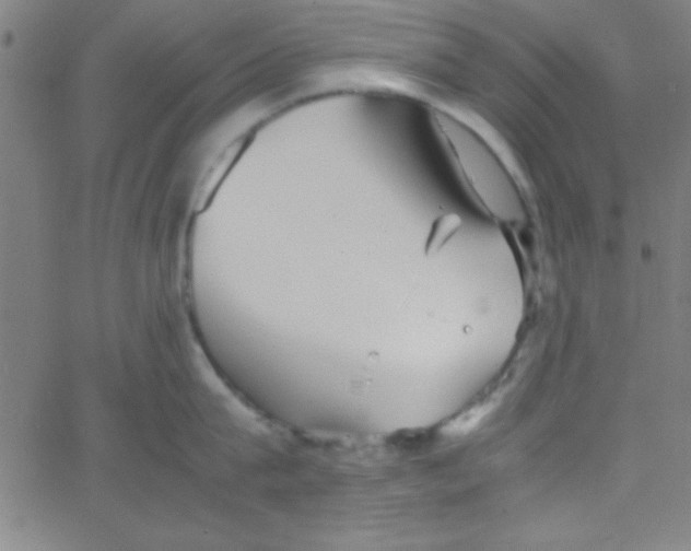 X0000067400815200604281906