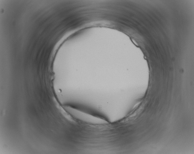 X0000067400816200604281906