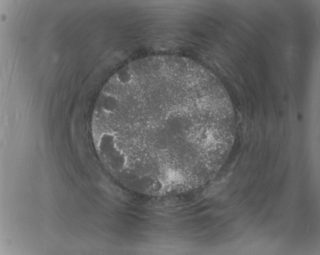 X0000067400817200604281905