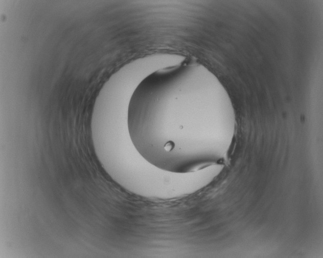 X0000067400818200604281905