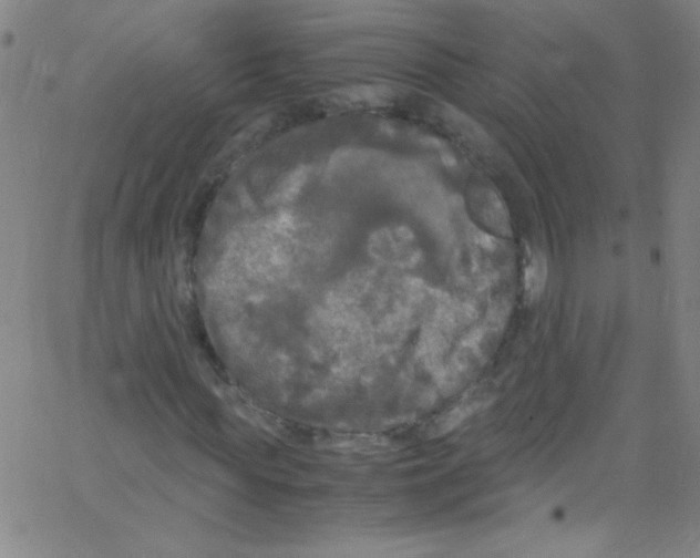 X0000067400819200604281905